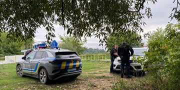 Піна на воді та тисячі мертвих риб: на Київщині масовий мор риби