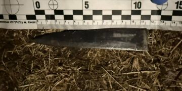 Кривава сварка у київській квартирі: чоловік до смерті побив співмешканку