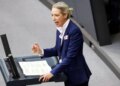 Стоп помощи и депортация беженцев: в ультраправой AfD озвучили требования по Украине