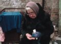 Минус 50 % от пенсии: за что Пенсионный фонд принудительно взимает деньги с пенсионеров
