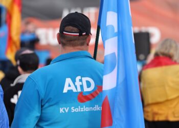 Ультраправа AfD лидирует на выборах в Германии: победа может стоить Мерцу должности