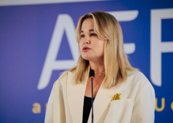 Украина меняет запросы на оружие: Гетьманчук назвала главные направления
