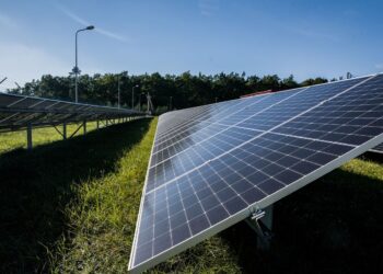 Бізнес може отримувати більше від СЕС і батарей: у D.Solutions назвали рішення