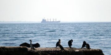Економіка під загрозою. Аграрії та металурги закликали прем’єра терміново розблокувати порти