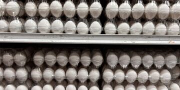 Яйця знову дорожчають: які ціни на продукти пропонують супермаркети 8 вересня