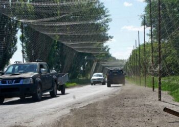 ВСУ с начала года защитили от дронов более 1300 км логистических путей, – Генштаб