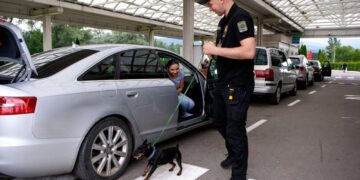 Митниця виявила тисячі порушень на мільярди гривень: що вилучали найчастіше