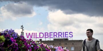 Скільки РФ втратила від ударів по складах провідних маркетплейсів Wildberries та OZON