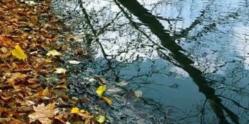 Осенние заморозки уже близко: какая сегодня будет погода в Украине