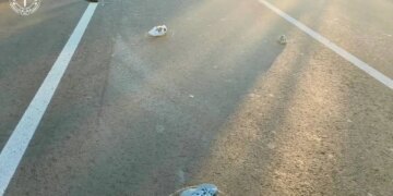 10-летняя девочка погибла в Харьковской области после наезда автомобиля на пешеходном переходе