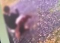 Ревность и сломанный нос: в Мукачево в суд направили дело 19-летней девушки, избившей соперницу. ВИДЕО