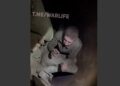 Подземный капкан для врага: бригада «Хартия» уничтожила еще один секретный путь россиян в тыл Купянска. ВИДЕО