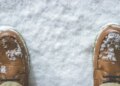 Ученые предупредили о необычном начале зимы в Европе: каким будет конец 2026 года