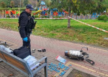 Обломки дрона упали в парке “Орленок” в Киеве, есть раненые