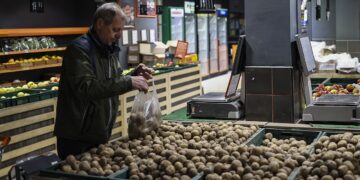 Картопля може подорожчати до 23 гривень за кілограм: що буде з цінами до кінця року