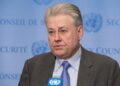 Работа над “заморозкой” полномочий России в ГА ООН уже началась, – Ельченко