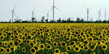 Попри руйнування потужностей: у ДТЕК заявили про нові інвестиційні проєкти