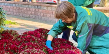 Квітуча краса осені в центрі Києва: що посадили озеленювачі, – ФОТО
