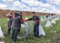 Эшелонированная оборона и база фортификаций: как Кабмин планирует защищать границы и логистику