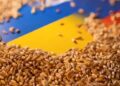 Politico: Польша и Румыния отказали Украине в помощи с вывозом зерна